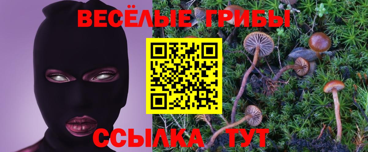 Псилоцибиновые грибы прущие грибы Фролово