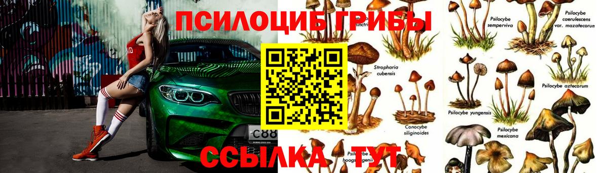 Галлюциногенные грибы Psilocybine cubensis  Вход с VPN  Фролово 